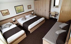 Rooms Barba Niko Near Zagreb Airport